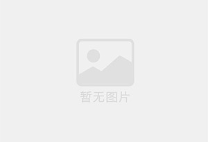 中雪（SHARE）屠宰加工用片冰机